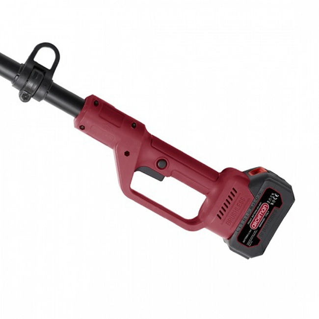 Vendita online Potatore con asta telescopica 1,8 -  2,7 mt 